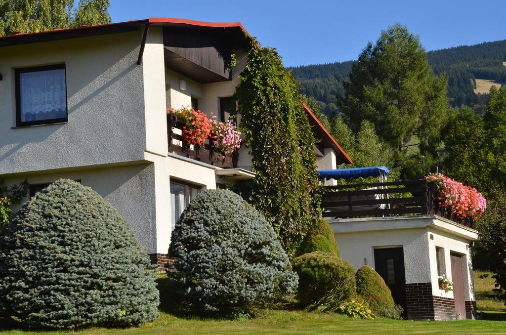 Apartman Braun Rokytnice nad Jizerou Room photo