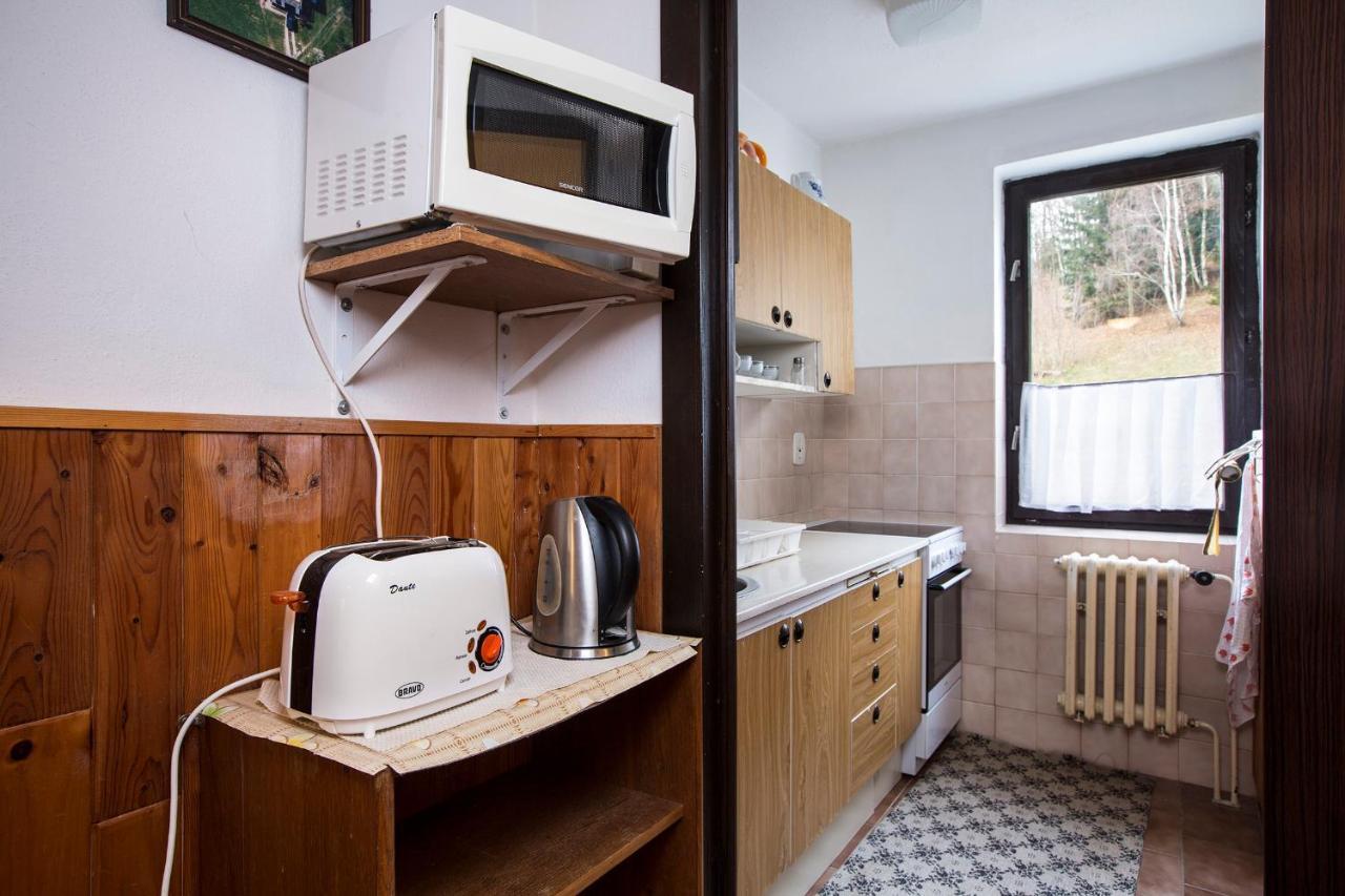 Apartman Braun Rokytnice nad Jizerou Exterior photo